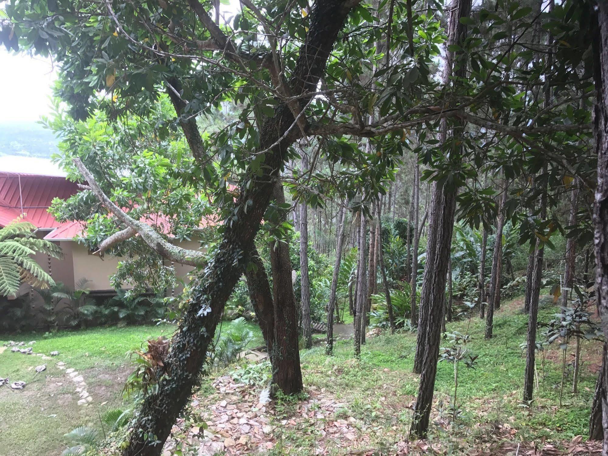Hotel Rancho Tierra Alta à Jarabacoa Extérieur photo